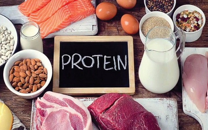 Trong quá trình duy trì và sửa chữa cơ bắp, cơ thể rất cần protein