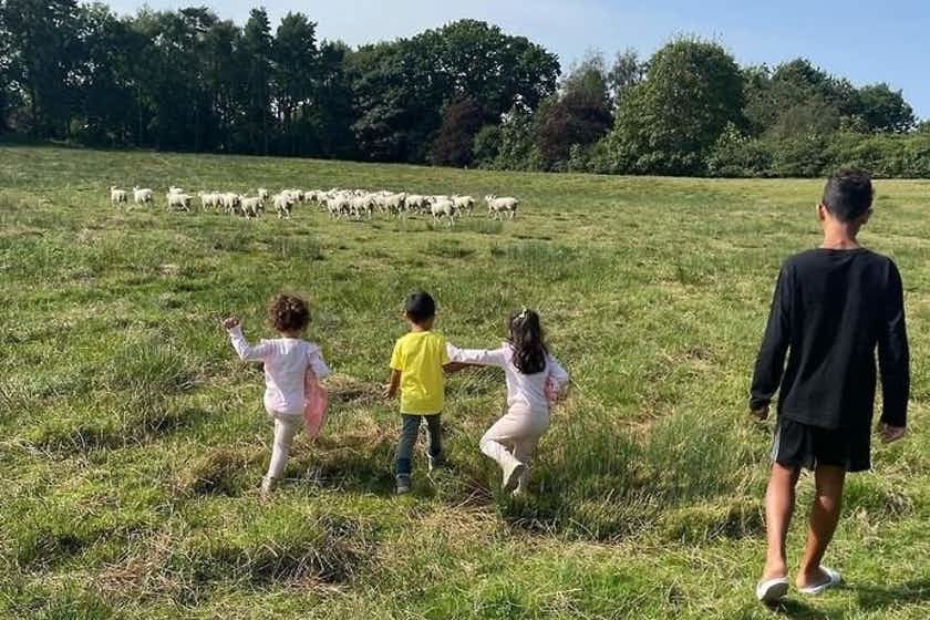 Ronaldo và gia đình phải dọn đi vì quá ồn, mặc dù các con của anh rất thích đàn cừu
